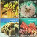 Corals of Oman