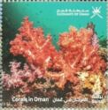 Corals of Oman