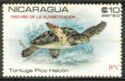 Hawksbill sea turtle, overprinted