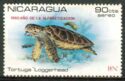 Loggerhead sea turtle (Caretta caretta, overprinted