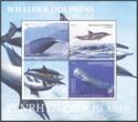 Whales & Dolphins of the World