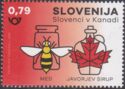 Slovenes in Canada: Honey and Maple Syrup