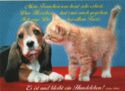 Basset und Kätzchen