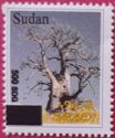 Baobab Tree (Adansonia digitata) - Surcharged