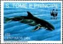 False Killer Whale (Pseudorca crassidens)