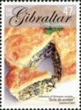 Spanish Torta de Acelga (spinach pie)