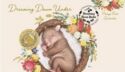 1 Dollar (Dreaming Down Under - Wombat - Coin & Stamp)