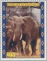 African Elephant (Loxodonta africana)