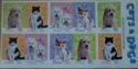Cats and Dogs
