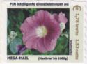 100 Jahre Botanischer Garten Stockrose