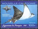 Spotted Eagle Ray (Aetobatus narinari)