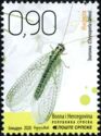 Green Lacewing (Chrysoperla carnea)