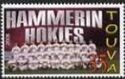 Hammerin Hokies Baseball Team