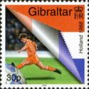 Dutch Player and Flag, Netherlands Winner 1988
