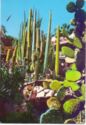 Monaco : the Exotic Garden