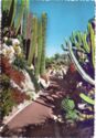 Monaco : the Exotic Garden
