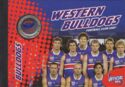 Western Bulldogs