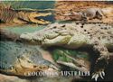 Crocodiles