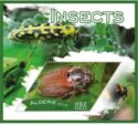 Insects