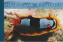 Underwater World