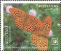 Silver-washed Fritillary (Argynnis paphia)
