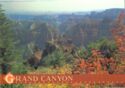 Grand Canyon National Pak : view from Point Imperail