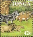 Lions, Zebras, Antelopes