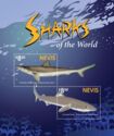 Sharks of the World