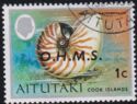 Bellybutton Nautilus (Nautilus macromphalus), optd O.H.M.S.