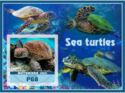 Fauna sea turtles
