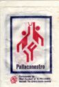 Pallacanestro