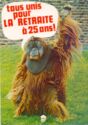 All united for retirement at age 25. Orangutang