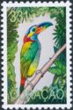 Guianan Toucanet (Selenidera piperivora)