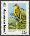 Yellow Canary (Serinus flaviventris) - Courting Male