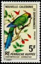 Horned Parakeet (Eunymphicus cornutus) 