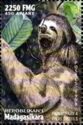 Pale-throated Three-toed Sloth (Bradypus tridactylus)