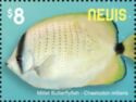 Millet Butterflyfish (Chaetodon miliaris)