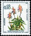 Aloe ciliaris