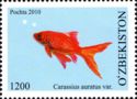 Common Goldfish (Carassius auratus auratus)