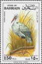 White Stork (Ciconia ciconia)