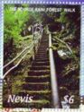 The Source Rain Forest Walk, Nevis