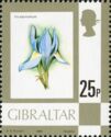 Barbary nut (Iris sisyrinchium)