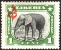 African Elephant (Loxodonta africana)