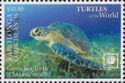 Green Sea Turtle (Chelonia mydas)