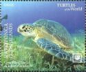 Green Sea Turtle (Chelonia mydas)