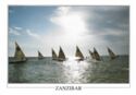Zanzibar - Dhow Race