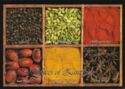 Zanzibar Island - Spices