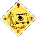 Ascension Scout Flag