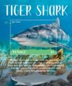 Tiger Shark