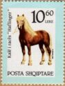 Haflinger or Avelignese Horse (Equus ferus caballus)